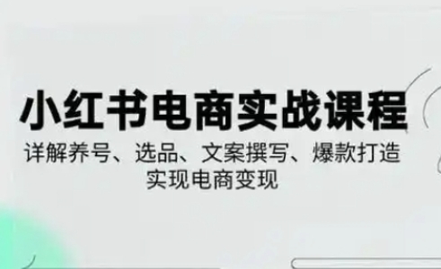 小红书从0-1实操课(2023-2025)，详解养号、选品、文案撰写、爆款打造实现电商变现-阿强资源站