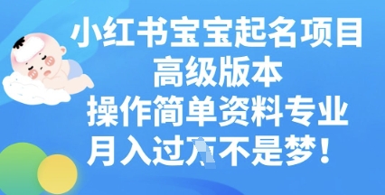 小红书宝宝起名项目高级版本，操作简单，资料专业，月入过W-阿强资源站