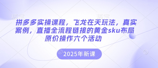 拼多多实操课程，飞龙在天玩法，真实案例，直播全流程链接的黄金sku布局原价操作六个活动-阿强资源站