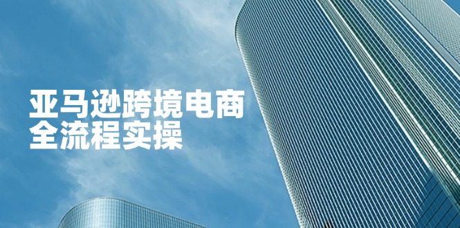 （14252期）亚马逊跨境电商全流程实操，教你从零开始，掌握店铺运营与广告技巧-阿强资源站