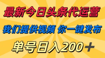 最新今日头条代运营，我们提供视频，你一键发布，单号日入200+【揭秘】-阿强资源站