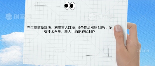 AI养生赛道新玩法，10条作品涨粉5.2W，操作简单，新人小白能轻松制作-阿强资源站