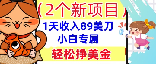 2个新项目,轻松挣美金, 1天收入89美刀,小白专属,干货分享-阿强资源站