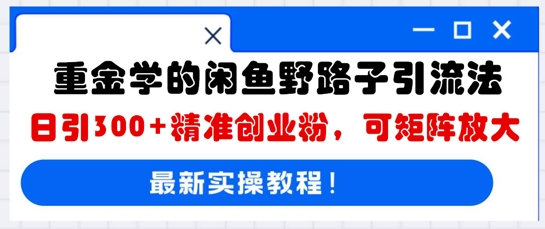 重金学的闲鱼野路子引流法，日引300+精准创业粉，可矩阵放大-阿强资源站