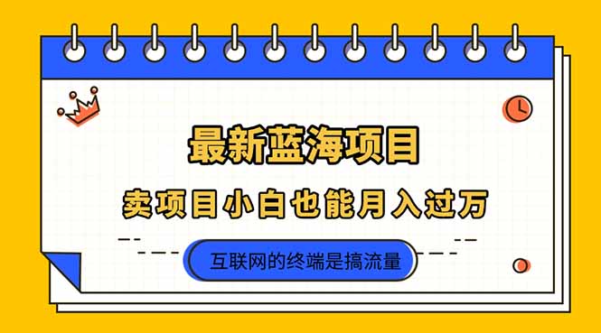 （14289期）2025年最新蓝海项目，卖项目小白也能月入过万-阿强资源站