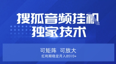 【搜狐音频挂G】独家技术，可矩阵可放大，红利期稳定月入8k【揭秘】-阿强资源站