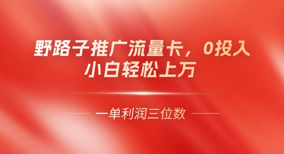 0门槛推广流量卡，一单收益上百，0投入，小白月入过W-阿强资源站