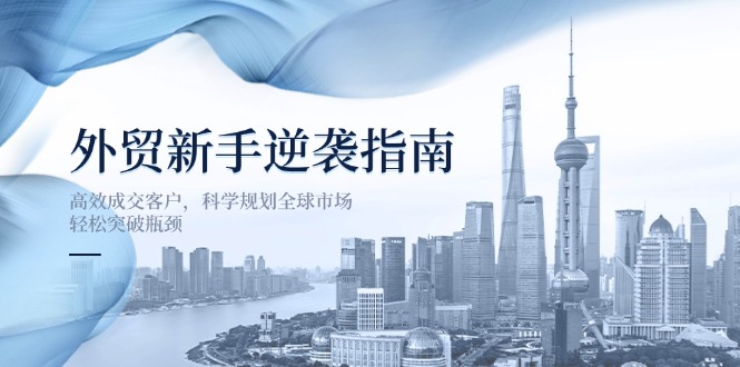 （14201期）外贸新手逆袭指南：高效成交客户，科学规划全球市场，轻松突破瓶颈-阿强资源站