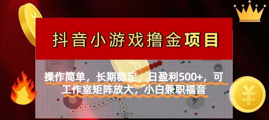 (14290期)【抖音小游戏发行人计划项目】操作简单,长期稳定,日盈利500+,可工作...-阿强资源站