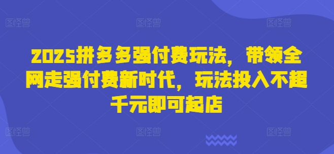 2025拼多多强付费玩法，带领全网走强付费新时代，玩法投入不超千元即可起店-阿强资源站