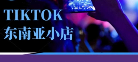 Tiktok东南亚跨境小店运营班，一门专业的TK小店运营培训课-阿强资源站