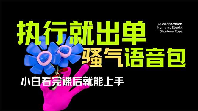 （14170期）爆火全网的开车导航骚气语音包,只要执行就出单，小白看完课程就能实操...-阿强资源站