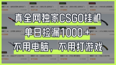 真全网独家CSGO挂G，单日捡漏1k+【揭秘】-阿强资源站