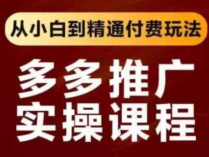 拼多多推广实操课程，从小白到精通付费玩法-阿强资源站