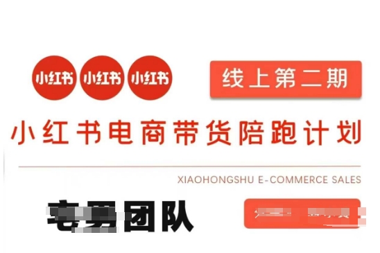 小红书电商带货课2期，月利润20个的小红书电商的有货源，无货源，虚拟产品，付费投流等整套玩法-阿强资源站