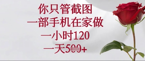 你只管截图，一部手机在家操作，一小时120.一天5张【揭秘】-阿强资源站