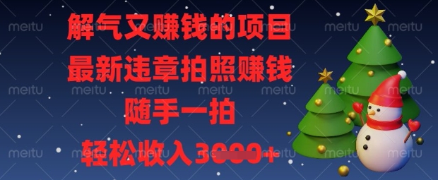 解气又挣钱的项目，最新违章拍照挣钱，随手一拍，轻松收入数张【揭秘】-阿强资源站